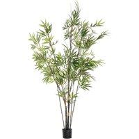 Crossland Grove Bamboo W 859 Leaves 450X450X1520Mm, Green
