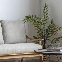 Crossland Grove Butterfly Fern H1200Mm, Green