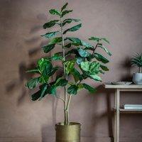 Crossland Grove Fiddle Tree W 65 Leaves 180X810X1800Mm, Green