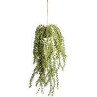 Crossland Grove Hanging Cactus Horsetail 200X200X580Mm, Green