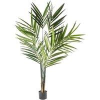 Crossland Grove Kentia Palm Tree 600X600X1800Mm, Green