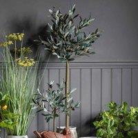 Crossland Grove Olive Tree Medium 300X300X1210Mm, Green