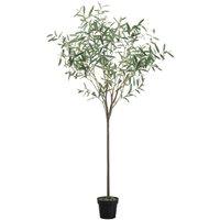 Crossland Grove Olive Tree Small Green H1720Mm, Green