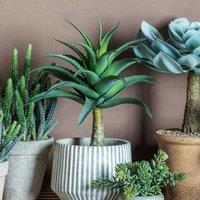 Crossland Grove Potted Agave 430X430X570Mm, Green