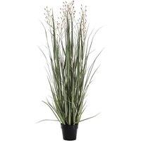 Crossland Grove Potted Grass W 7 Heads Green Russet 1300Mm, Green