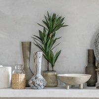 Crossland Grove Potted Yucca Green H650Mm, Green