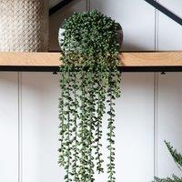 Crossland Grove String Of Pearls In Soil L710Mm, Green
