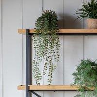Crossland Grove Trailing Fern In Soil Green L600Mm, Green