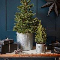 Ivyline Indoor Christmas Tree Bucket With Star - Galvanised Steel H28cm W28cm