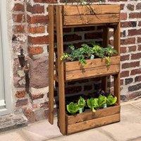 Charles Taylor Country Kitchen Herb Garden - Small