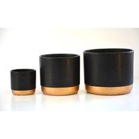 Thompson & Morgan Thompson and Morgan Two-tone ceramic Black-Gold 6cm Small, Black