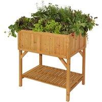 VegTrug Raised Bed Planter