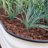 Garden Gear Original Veggie Bed Paperbark Merino White x 1, White