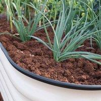 Garden Gear Original Veggie Bed Paperbark Merino White x 2, White