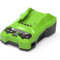 Greenworks 24V 4A Battery Charger, Green