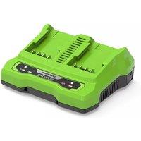 Greenworks 24V 4A Twin Port Battery Charger, Green