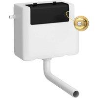 Hudson Reed Universal Access Cistern & Traditional Brushed Brass Flush Plate - White