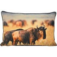 Paoletti Wildebeest Polyester Filled Cushion Tan, Brown