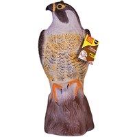 The Big Cheese Falcon, Brown