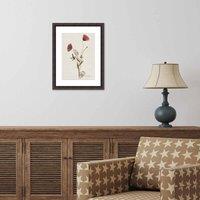 The Art Group Helen Ahpornsiri (Wild Poppies) 30x40cm Wall Art, Multi