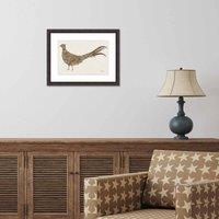 The Art Group Helen Ahpornsiri (Mr Pheasant) 30x40cm Wall Art, Multi