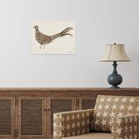 The Art Group Helen Ahpornsiri (Mr Pheasant) 30x40cm Wall Art, Multi