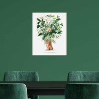 The Art Group Summer Thornton (Tiger Palm) 40x50cm Wall Art, Multi