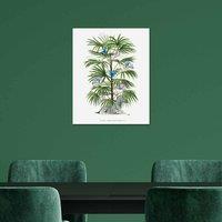 The Art Group Summer Thornton (Zebra Palm) 40x50cm Wall Art, Multi