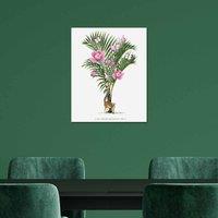 The Art Group Summer Thornton (Lemur Palm) 40x50cm Wall Art, Multi