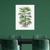 The Art Group Summer Thornton (Zebra Palm) 60x80cm Wall Art, Multi