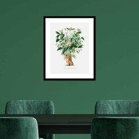 The Art Group Summer Thornton (Tiger Palm) 40x50cm Wall Art, Multi