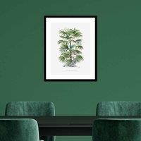 The Art Group Summer Thornton (Zebra Palm) 40x50cm Wall Art, Multi