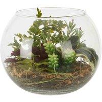 Interiors by PH Large Glass Pot Mixed Succulent, Clear