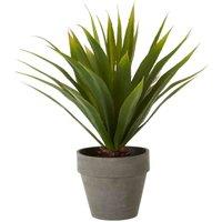 Interiors by PH Agave Succulent, Grey
