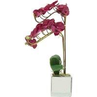 Interiors by PH Aubergine Orchid Plant, Purple