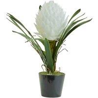 Interiors by PH White Tropical Plant, White