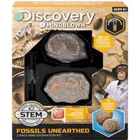 Three Sixty Group Toy Excavation Kit Mini Fossil 2Pc