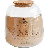 Ivyline Bowl Shape Medium Terrarium DIY Kit H20cm D19cm, Clear