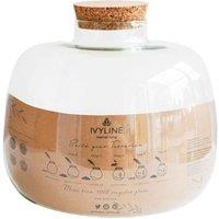 Ivyline Bowl Shape Large Terrarium DIY Kit H23cm D30cm, Clear