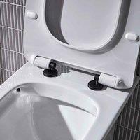 Coastal Black Toilet Seat Hinge Set Lune, Black