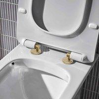 Coastal Brass Toilet Seat Hinge Set Lune, Brown