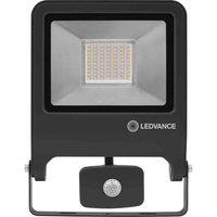 Ledvance Endura Flood Sensor 50W 840 Dg