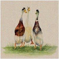 The Art Group Jane Bannon (Dilly, Roly & Henry) 30x30cm Canvas