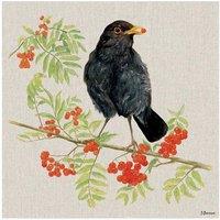 The Art Group Jane Bannon (Boris's Berries) 30x30cm Canvas