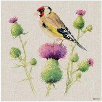 The Art Group Jane Bannon (Cyril And The Thistle) 30x30cm Canvas