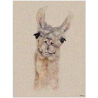 The Art Group Jane Bannon (Rodney) 30x40cm Canvas