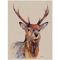 The Art Group Jane Bannon (Proudlock) 30x40cm Canvas