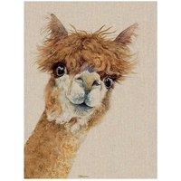 The Art Group Jane Bannon (Wendy) 30x40cm Canvas