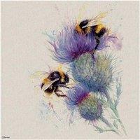 The Art Group Jane Bannon (Bees On Thistle) 60x60cm Canvas