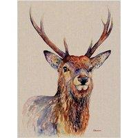 The Art Group Jane Bannon (Proudlock) 60x80cm Canvas